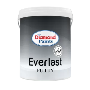 Everlast Putty